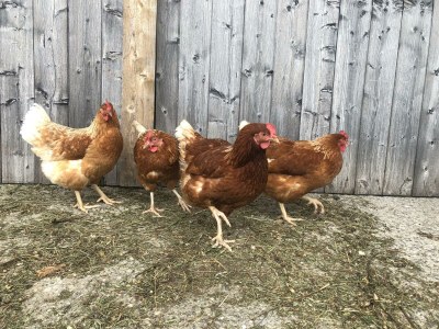 Holiday room Zimmer 2 - Outdoor photo 5