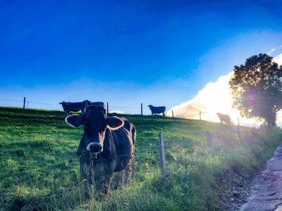 Holiday room Zimmer 2 - Outdoor photo 6