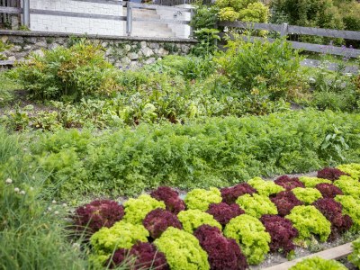 Holiday room Terassen Juniorsuite mit Dusche oder Bad, WC - Outdoor photo 28