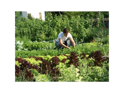 Holiday room Doppelzimmer mit DU od. Bad, Couch ohne Balkon - Outdoor photo 27