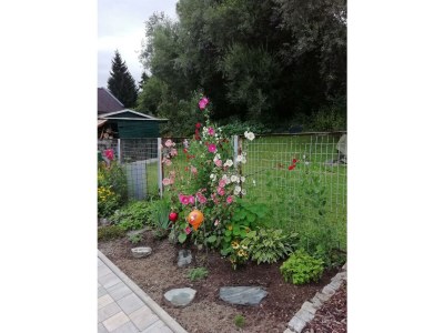 Apartment Appartement/Fewo - Outdoor photo 7