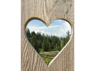 Apartment Apartment/1 Schlafraum/Dusche, WC - Outdoor photo 7