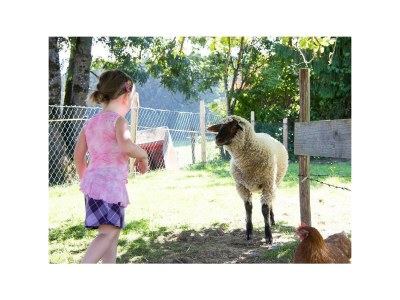 Holiday room Familienzimmer mit Dusche, WC - Outdoor photo 10