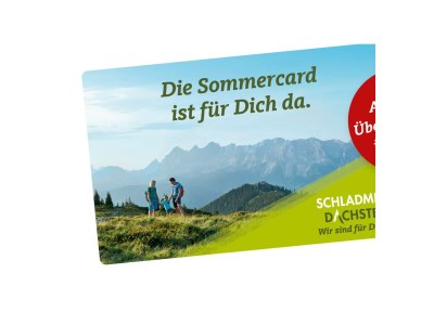 Apartment Ferienhaus/4 od. mehr Schlafr./Bad, WC - Outdoor photo 36