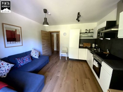 Apartment Apartment 3 mit Terrasse Dusche, WC, 1 Schlafraum - Features photo 35