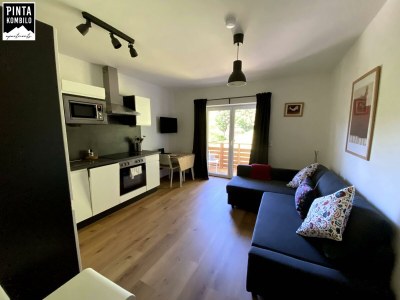 Apartment Apartment 3 mit Terrasse Dusche, WC, 1 Schlafraum - Features photo 38