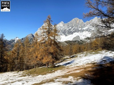 Apartment Apartment 1, 2 Dusche, WC, 2 Schlafräume - Outdoor photo 5