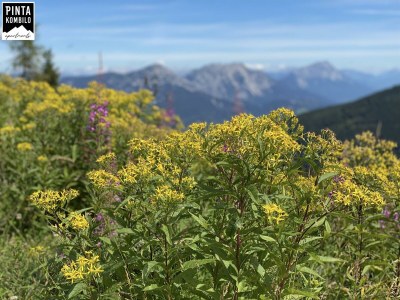 Apartment Apartment 1, 2 Dusche, WC, 2 Schlafräume - Outdoor photo 9