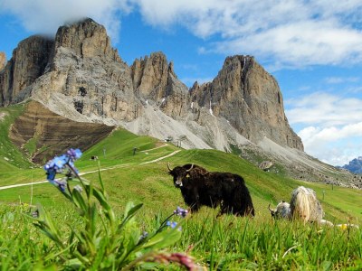 Apartment Apartment Edelraut - Type 2 - Environment photo 18