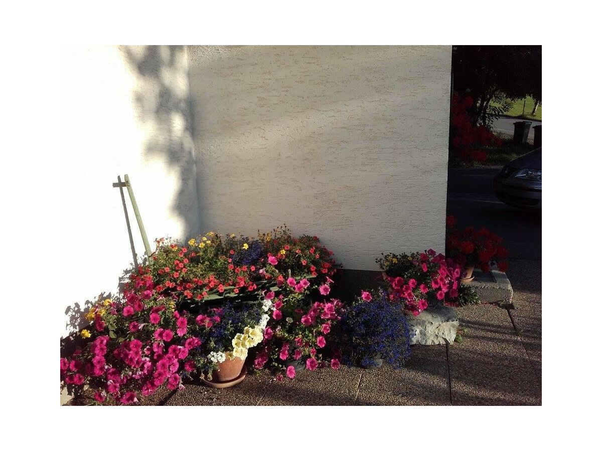 Apartment Dachstein - Outdoor photo 2