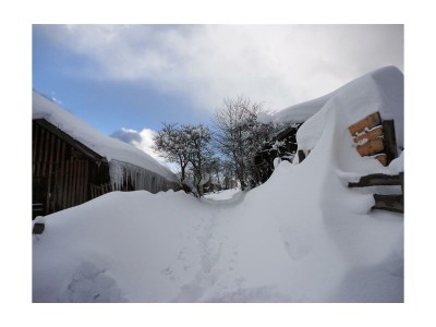 Apartment App. Ahorn /1 Schlafraum/Dusche, WC - Outdoor photo 7