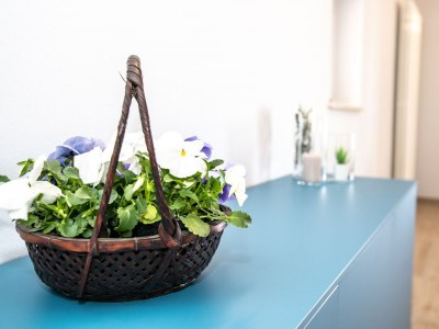 Villa Le Casette - Leccino - Features photo 25