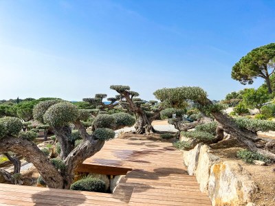 Villa La Loriade - Outdoor photo 14