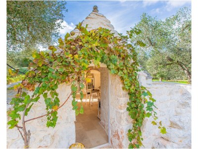 Villa Trullo della Quercia - Outdoor photo 5
