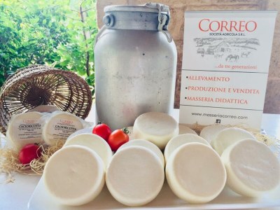 Villa Trullo della Quercia - Environment photo 27