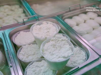 Villa Trullo della Quercia - Environment photo 32