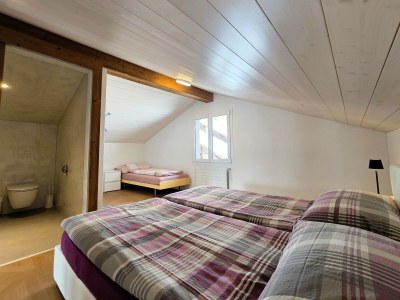 Holiday apartment Chalet Lilo top mountain view - Features photo 17