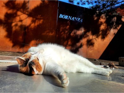 Holiday apartment Weißenborn 2 - Outdoor photo 5