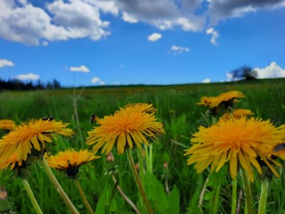 Holiday apartment Weißenborn 2 - Environment photo 25