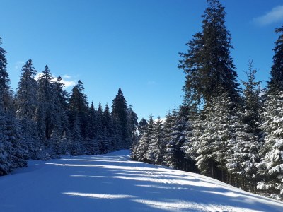 Holiday apartment Weißenborn 2 - Environment photo 26