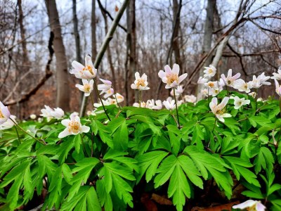 Holiday apartment Weißenborn 2 - Environment photo 32