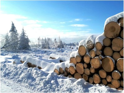 Holiday apartment Weißenborn 2 - Environment photo 36