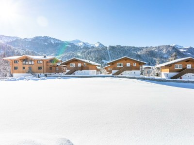 Apartment 4-Zi. FeWo in freistehendem Chalet+ Terrasse in Fieberbrunn - Apartment