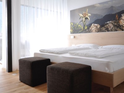 Holiday apartment Comfort Edelweiss - Features photo 9
