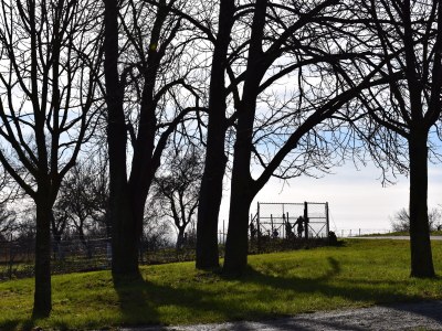Chalet Chalet by the Lake No. 44 - Environment photo 31