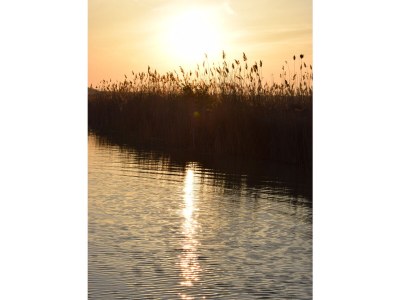 Chalet Chalet by the Lake No. 44 - Environment photo 35