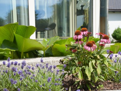 Holiday house Bergblick Prien - Environment photo 25