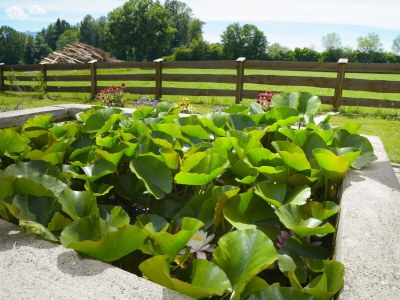 Holiday house Bergblick Prien - Environment photo 26