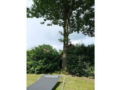 Holiday apartment No title - Features photo 35