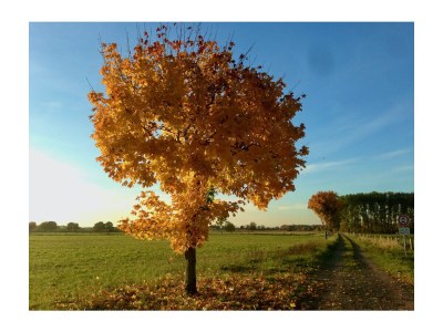 Holiday apartment No title - Environment photo 39