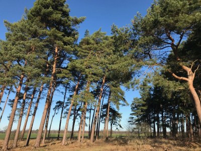 Holiday apartment No title - Environment photo 40