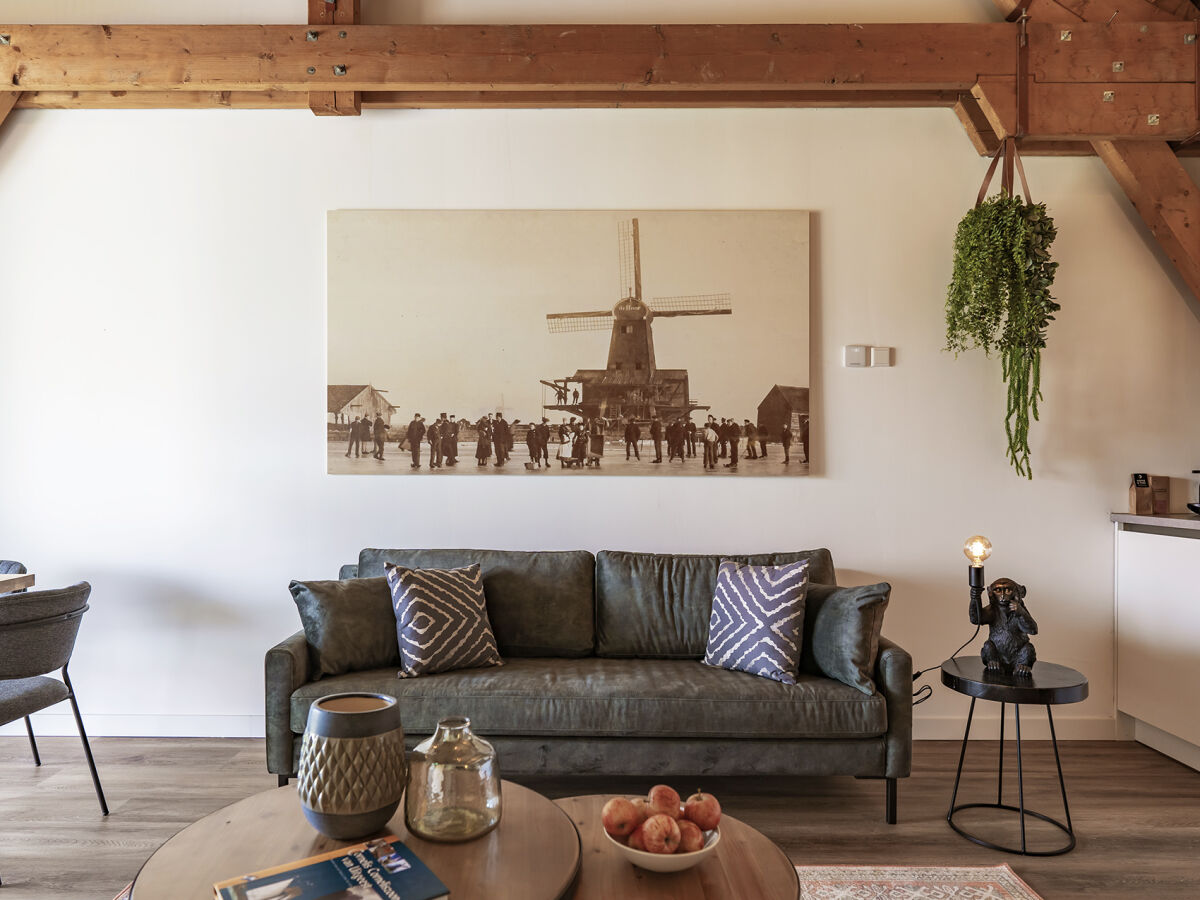 Apartment Lake-view apartment near the Zaanse Schans windmills - Features photo 3