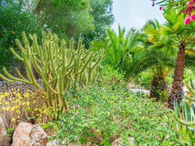 Holiday house Can Pina - Eco Pina - Outdoor photo 30