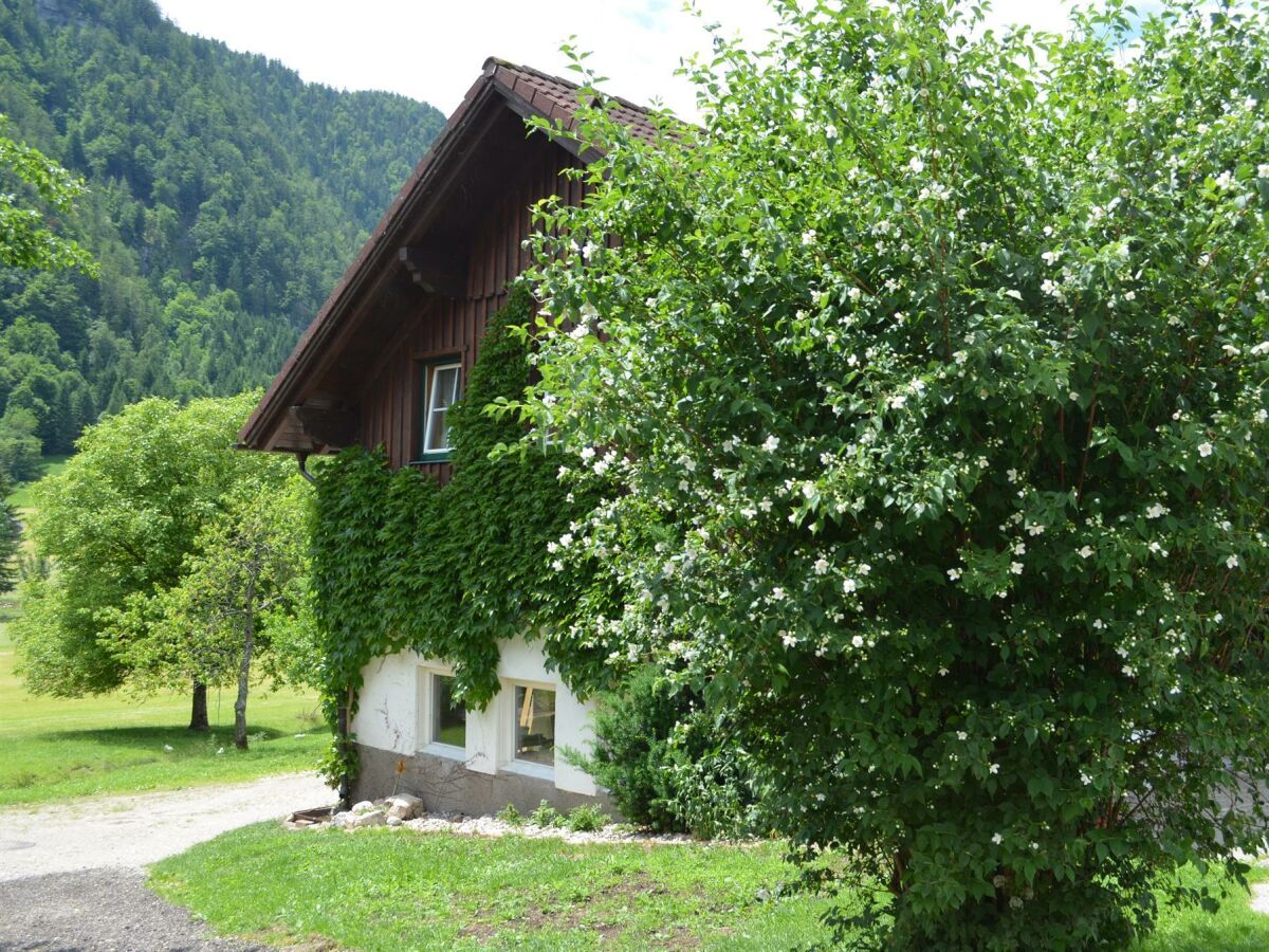 Holiday apartment Bauernhof König/Röthelstein - Outdoor photo 2