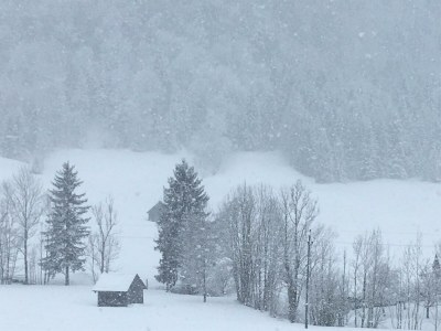 Holiday apartment Bauernhof König/Röthelstein - Features photo 19