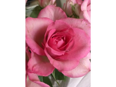 Holiday apartment Bauernhof König/Röthelstein - Environment photo 22