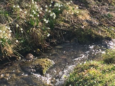 Holiday apartment Bauernhof König/Röthelstein - Environment photo 23