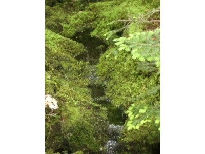 Holiday apartment Bauernhof König/Röthelstein - Environment photo 26