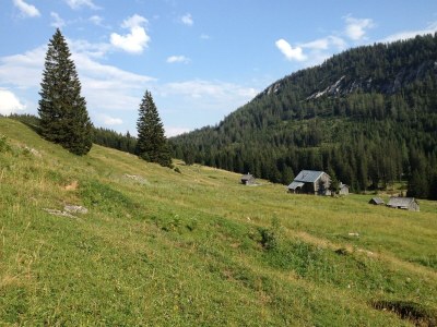 Holiday apartment Bauernhof König/Röthelstein - Environment photo 30