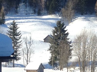 Holiday apartment Bauernhof König/Röthelstein - Environment photo 31