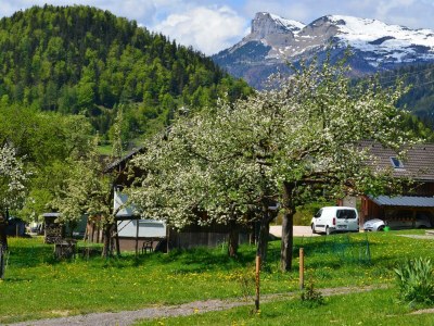 Holiday apartment Bauernhof König/ Loser - Outdoor photo 7