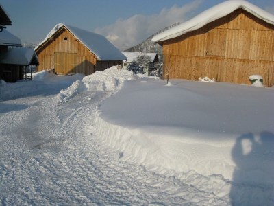 Holiday apartment Bauernhof König/ Loser - Features photo 21