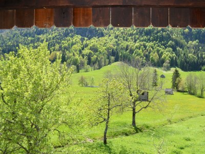 Holiday apartment Bauernhof König/ Loser - Environment photo 22