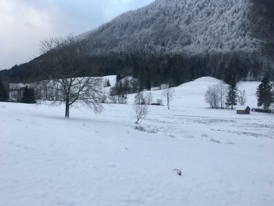 Holiday apartment Bauernhof König/ Loser - Environment photo 24