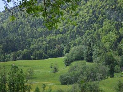 Holiday apartment Bauernhof König/ Loser - Environment photo 26