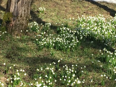 Holiday apartment Bauernhof König/ Loser - Environment photo 29